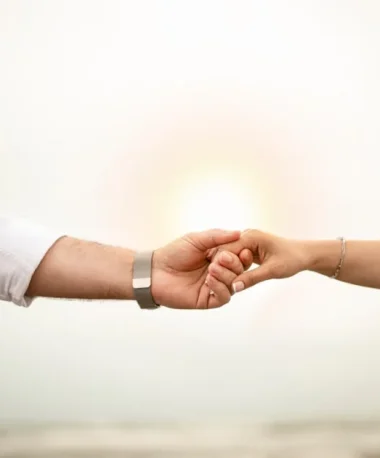 WordPress agency partnership expectations and reality guide