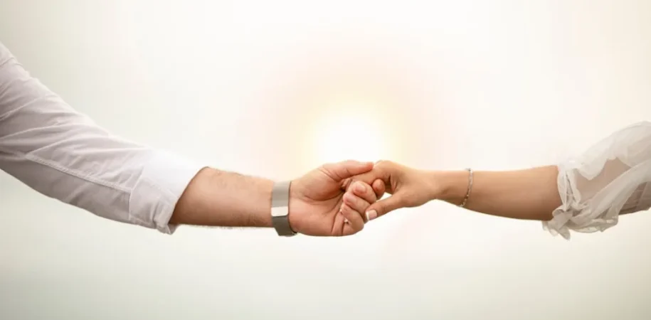 WordPress agency partnership expectations and reality guide