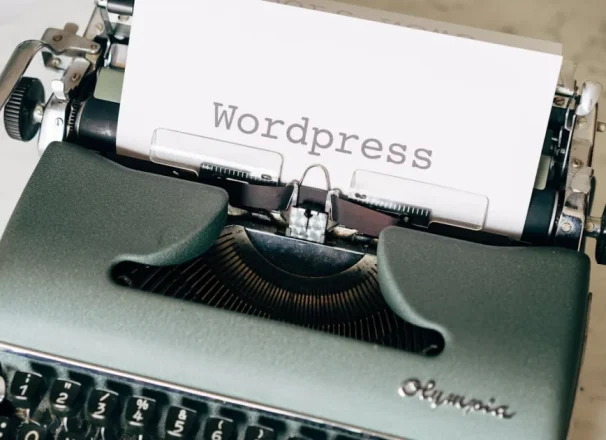 WordPress REST API basics: how endpoints and data flow