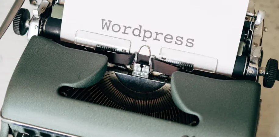 WordPress REST API basics: how endpoints and data flow