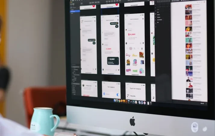 Overview of WordPress agency project types and their scope