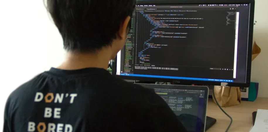 WordPress REST API basics: routes, JSON, and endpoints