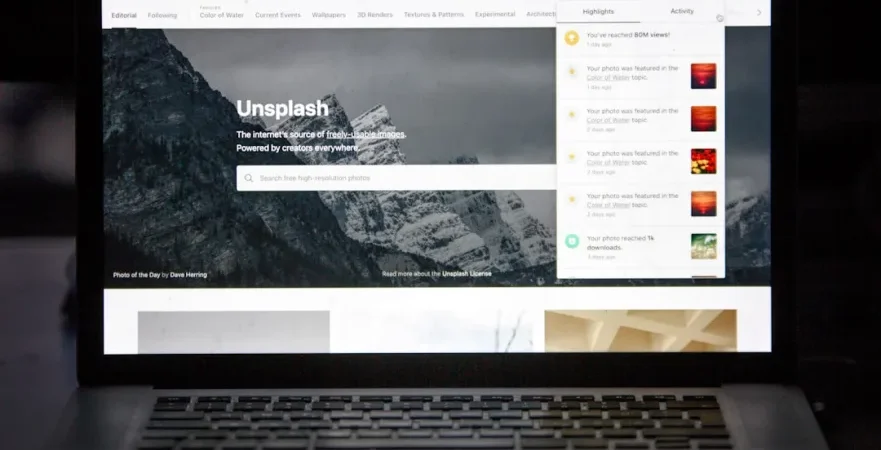 WordPress success story examples from real projects