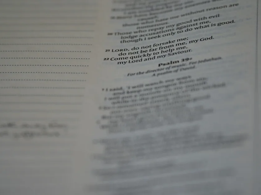 a page of a book